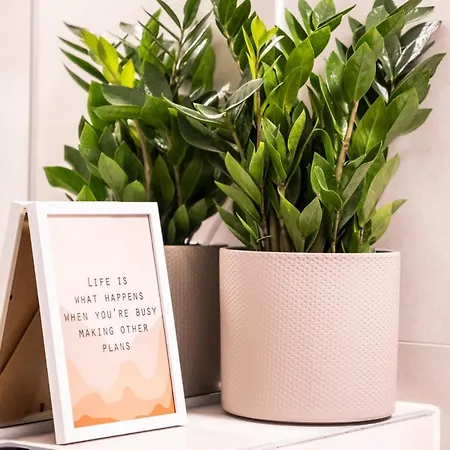 Altbau Glueck New Wuppertal