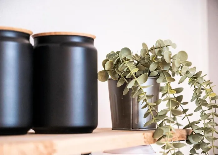 Διαμέρισμα Altbau Glueck New *