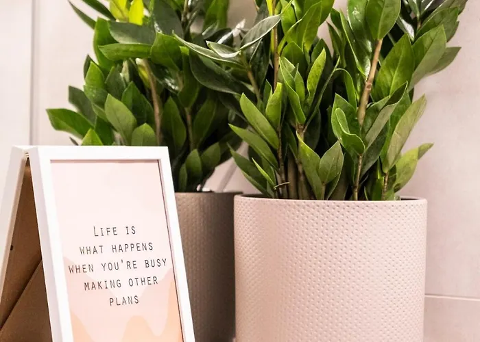 Altbau Glueck New Βούρπεταλ